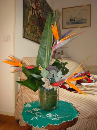 IMG_7019-small.jpg, janv. 2009