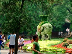P1000249-small.JPG, sep 2008