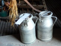 P1000660-small.JPG, sep 2008