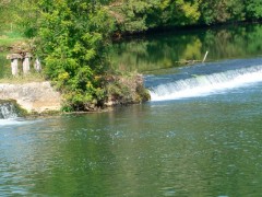 P1000680-small.JPG, sep 2008