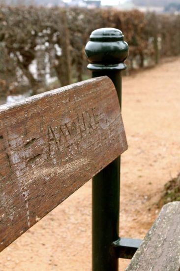 Un petit bout d'amour volé sur un banc public... par Virginie