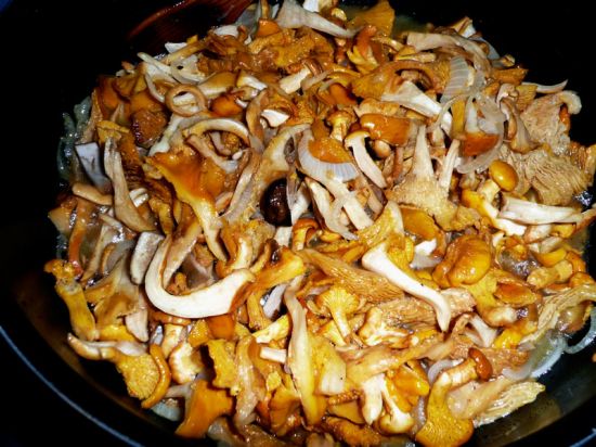 Suprême gourmandise :  poêlée de bolets et chanterelles fraîches cueillies du matin. Par Chris