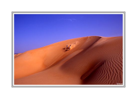 Sahara