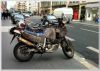 Moto léopard