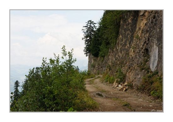 Le chemin... Le chemin...