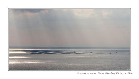 À la pêche aux moules