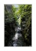 Gorges de l'Areuse