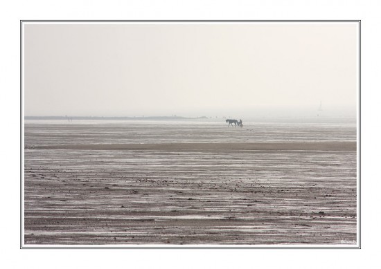 À la plage…