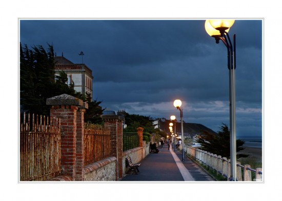 Promenade entre chien et loup