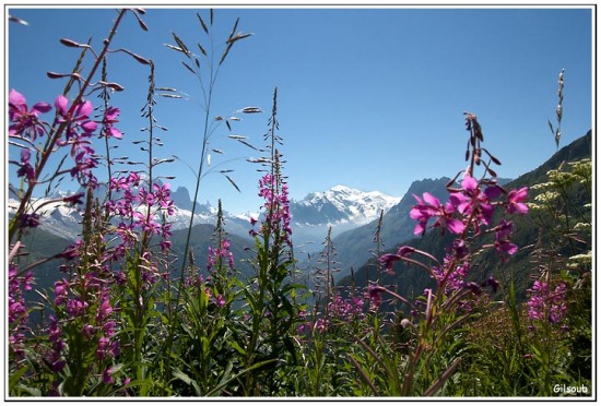 Le Mont Blanc