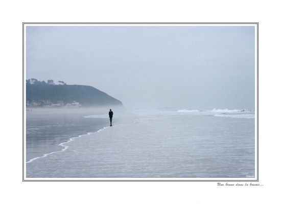 La brune dans la brume