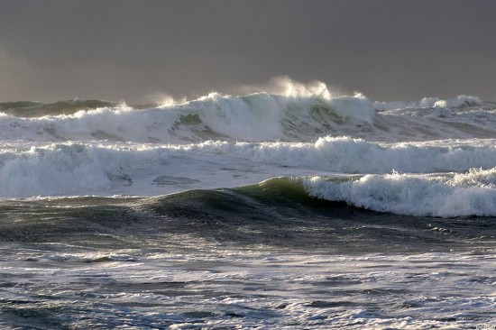 Rouleaux d'hivers