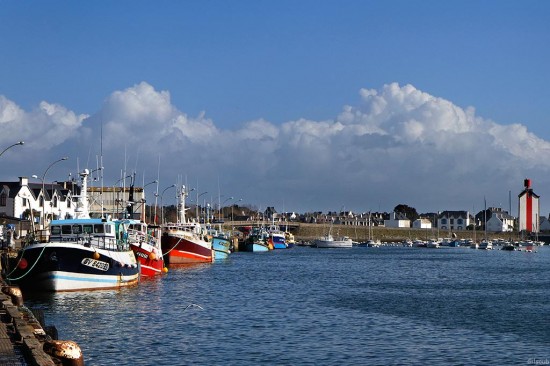 Port du Guilvinec