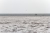 pho1500111.jpg