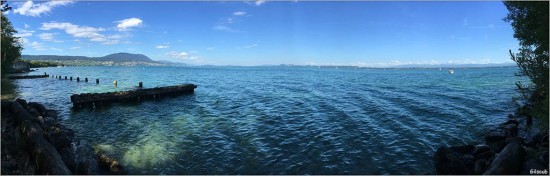 pho1600299.jpg