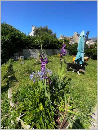 Cocon bigouden - Juillet 2025