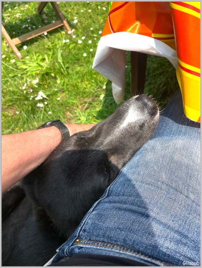 Stark veut un câlin