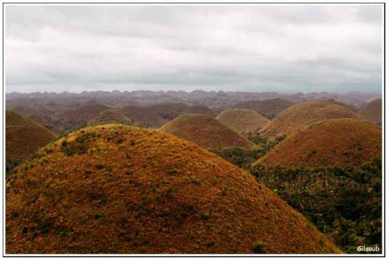 Chocolat Hills - Philippine -Ile de Bohol - Aout 1993