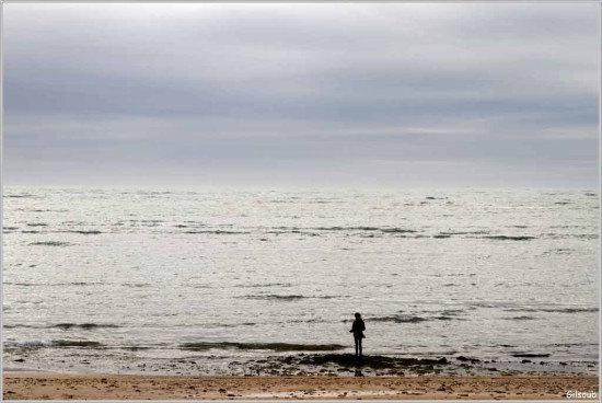 Face à la mer - île de Ré 2018