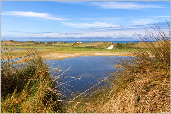 Marais de Tréguénec - Avril 2025