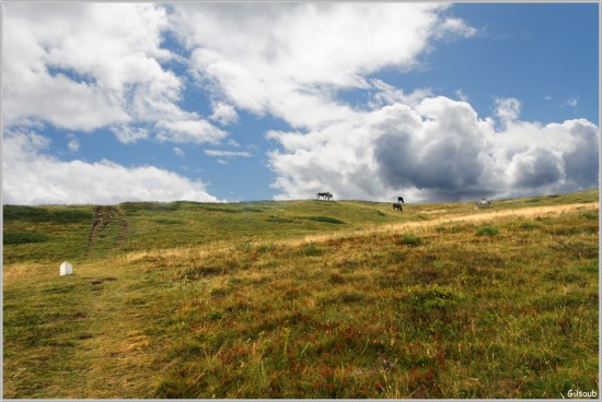 Haut plateau du Vercors - Aout 2019