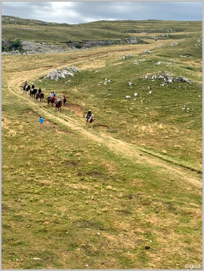 Haut plateau du Vercors - Aout 2019