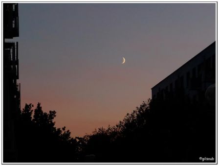 Croissant de lune..., oct 2008