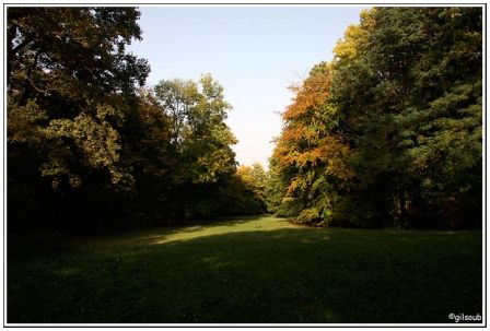 Tapis vert - Bois de Clamart, oct 2008