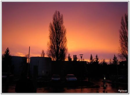 Petit matin, janv. 2009