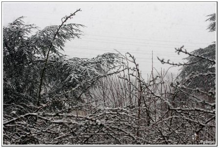Neige à Clamart, fév. 2009