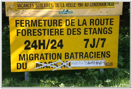 Côa, avr. 2009