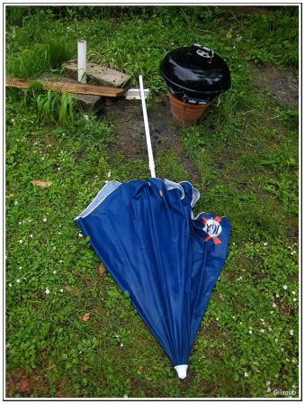 Après l'orage, mai 2009