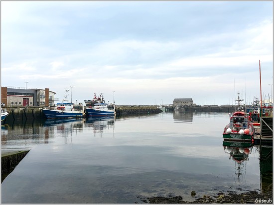 Tout est calme au port de St Guénolé - Mars 2026