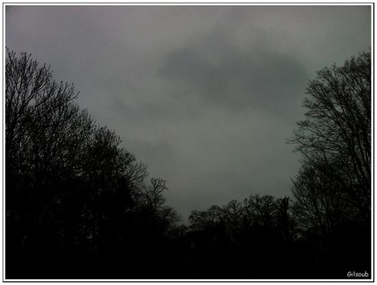 gris