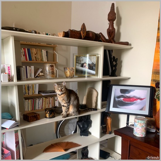 Dans le salon -Tours 2021