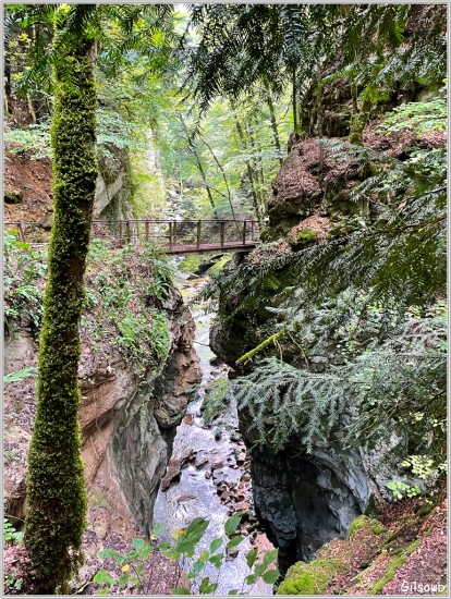 Dans les gorges de l'Arreuses -Aout 2019