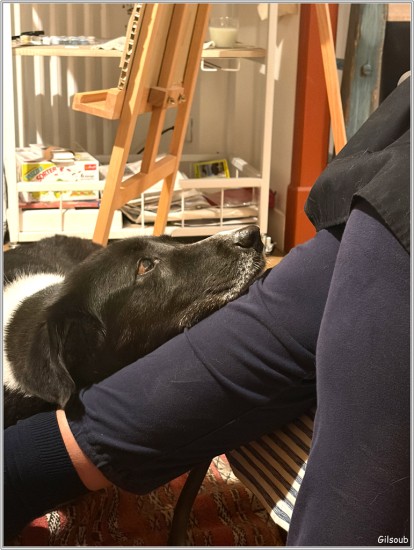 Dit ! tu m'en donne ?