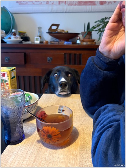 Dit ! tu m'en donne ?