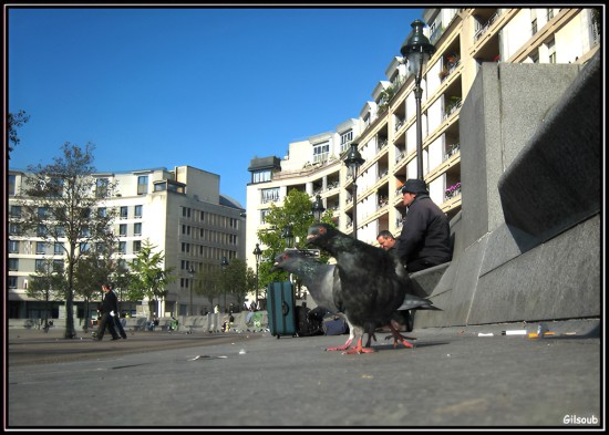 Quoi ma gueule... - Paris 2012