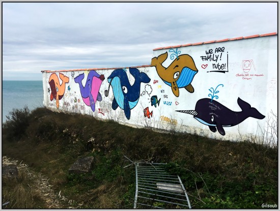 Ile de Ré - Février 2018