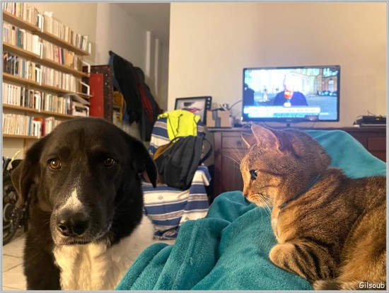 Stark et Maïa - Mai 2024