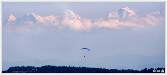 Les trois Bernoises - La vue des Alpes - Avril 2014
