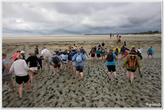 Rencontre avec la tangue - Baie du Mont St Michel 2009