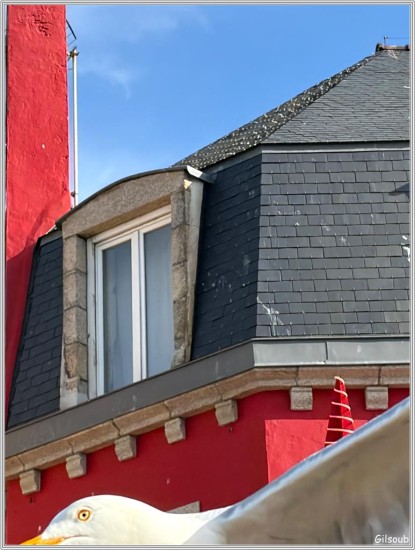 Goéland bombing - Avril 2026