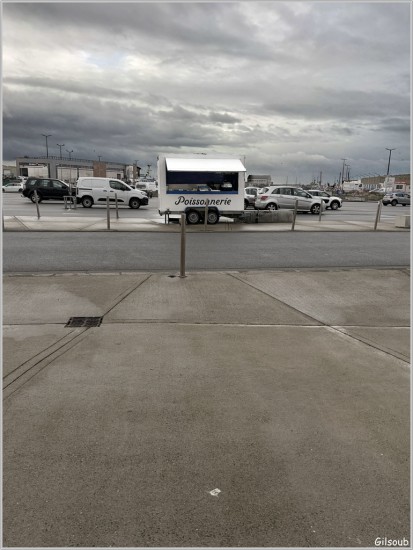 Micro poissonnerie - Janvier 2026