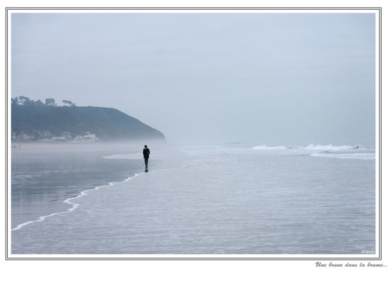 La brune dans la brume - Mai 2008