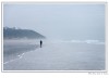 La brune dans la brume - Mai 2008
