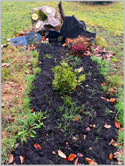 Cimetière jardin de Clamart - Janvier 2026
