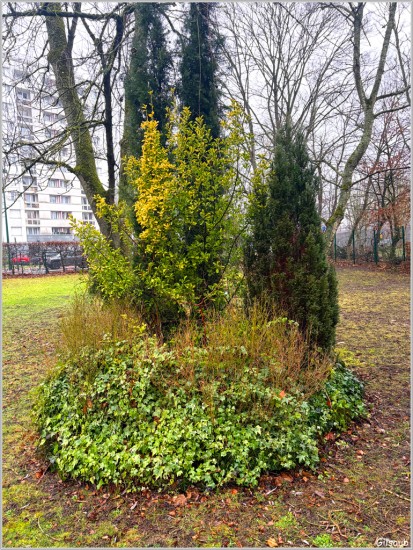 Cimetière jardin de Clamart - Janvier 2026