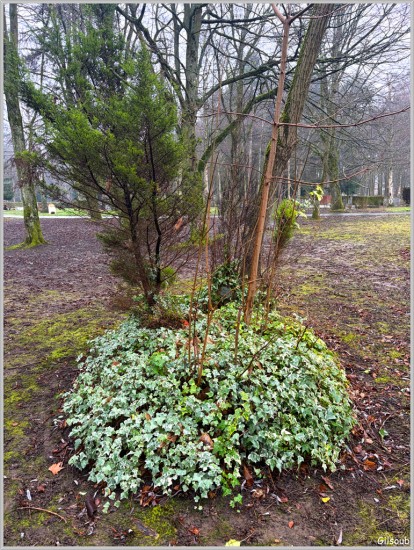 Cimetière jardin de Clamart - Janvier 2026